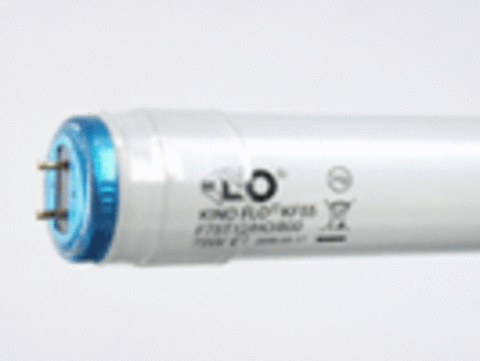 True Match Safety Coated Lamp 4ft KF55 488-K55-S