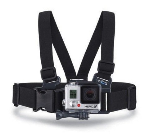 Jr. Chesty: Chest Mount Harness