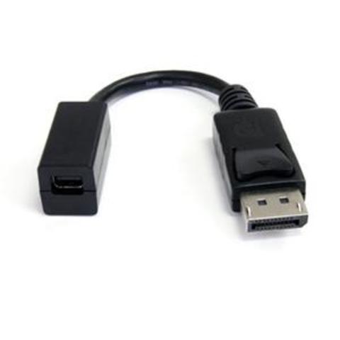 6 in. DisplayPort to Mini DisplayPort Cable Adapter (M/F)