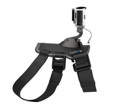 Fetch (Dog Harness)